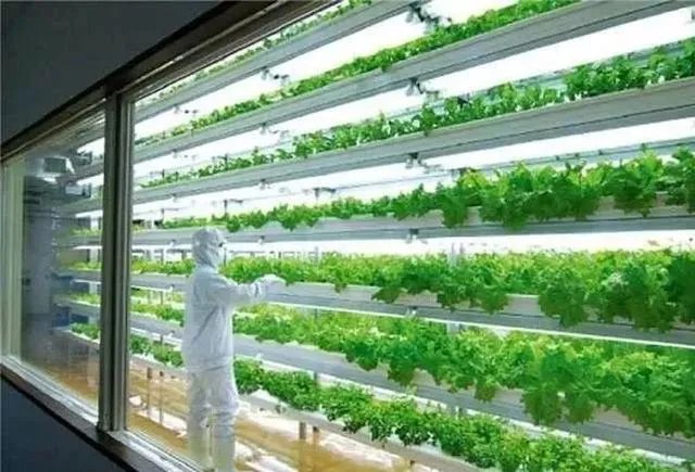 国家级现代农业示范区的标准?