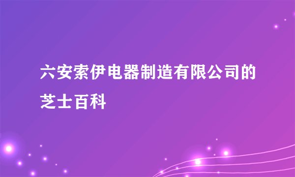 六安索伊电器制造有限公司的芝士百科
