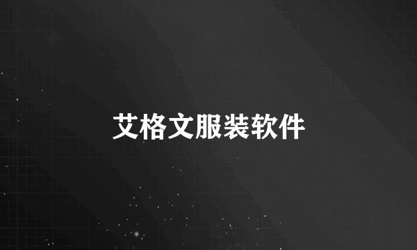 艾格文服装软件