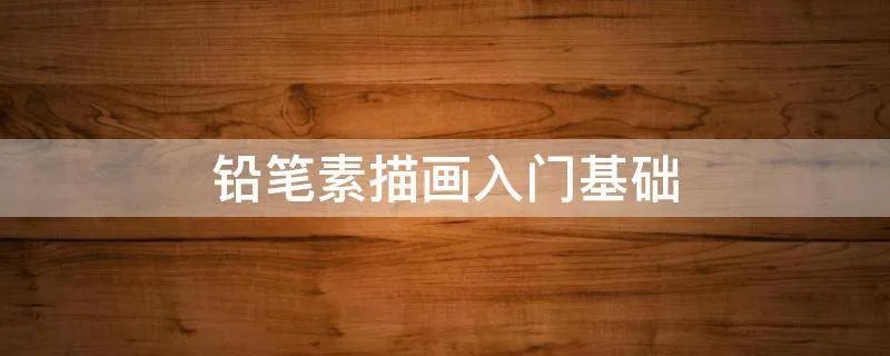 铅笔素描画入门基础
