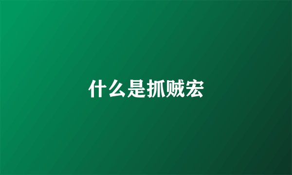 什么是抓贼宏