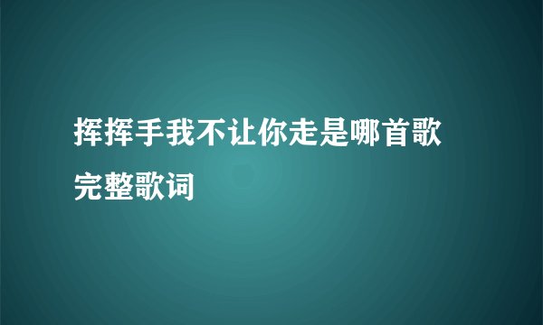 挥挥手我不让你走是哪首歌 完整歌词