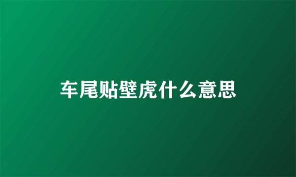 车尾贴壁虎什么意思