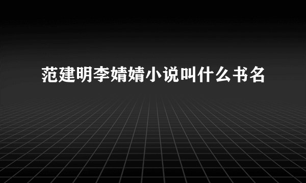 范建明李婧婧小说叫什么书名