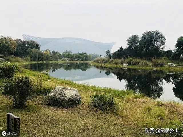 池塘里没有放鱼,但是过一段时间有小鱼了,是怎么产生的呢?