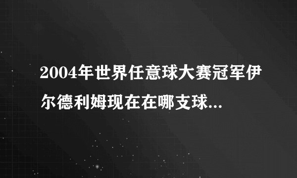 2004年世界任意球大赛冠军伊尔德利姆现在在哪支球队效力?如题 谢谢了