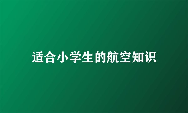 适合小学生的航空知识
