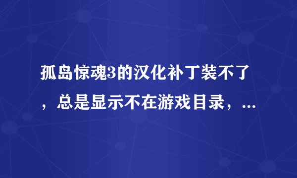 孤岛惊魂3的汉化补丁装不了，总是显示不在游戏目录，我是把它放在游戏目录，可就是装不了，求原因