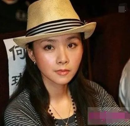 陈坤何琳个人资料揭秘 背后的故事让观众们惊叹