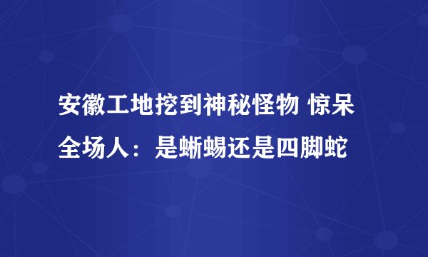 安徽工地挖到神秘怪物 惊呆全场人：是蜥蜴还是四脚蛇
