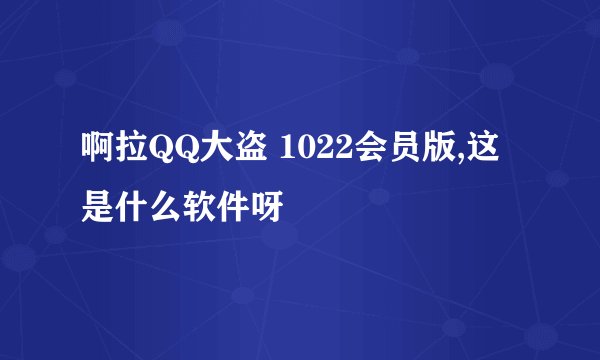 啊拉QQ大盗 1022会员版,这是什么软件呀