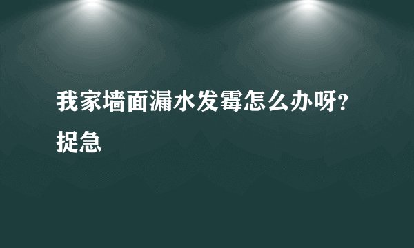 我家墙面漏水发霉怎么办呀?捉急