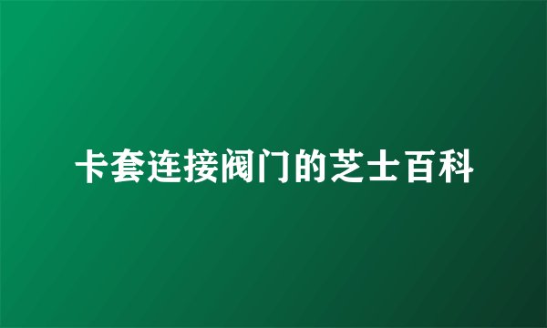 卡套连接阀门的芝士百科