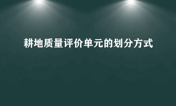 耕地质量评价单元的划分方式