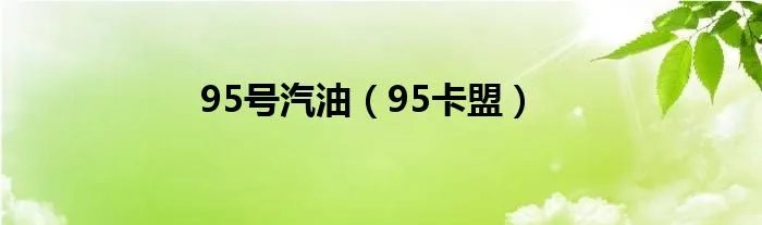 95号汽油（95卡盟）