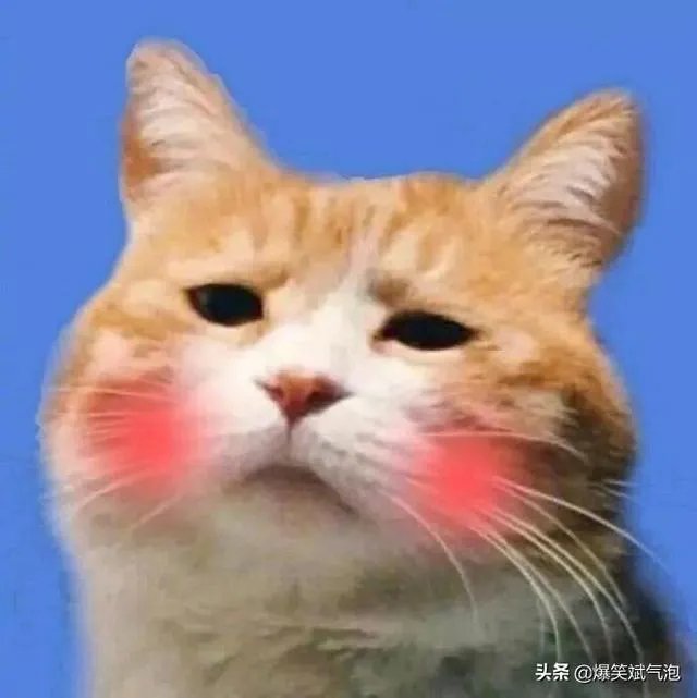 上厕所完事发现没有带纸，大家都是怎么做的？