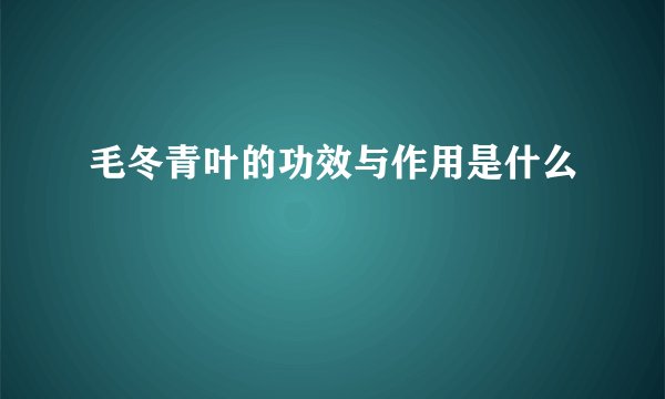 毛冬青叶的功效与作用是什么