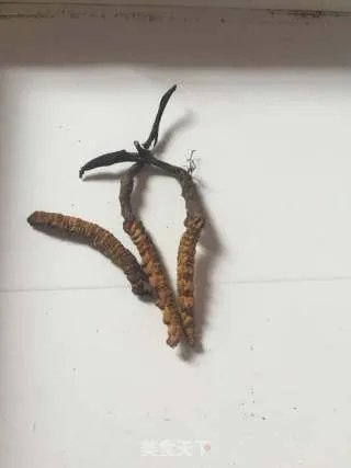燕窝炖冬虫草