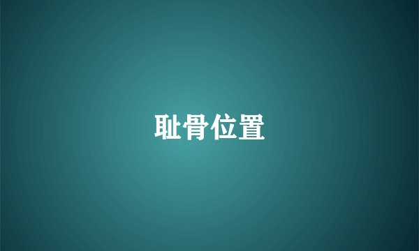 耻骨位置