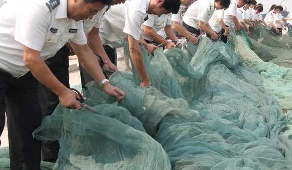 广西河池洞穴现珍稀水生物，如何有效地保护珍稀水生物？
