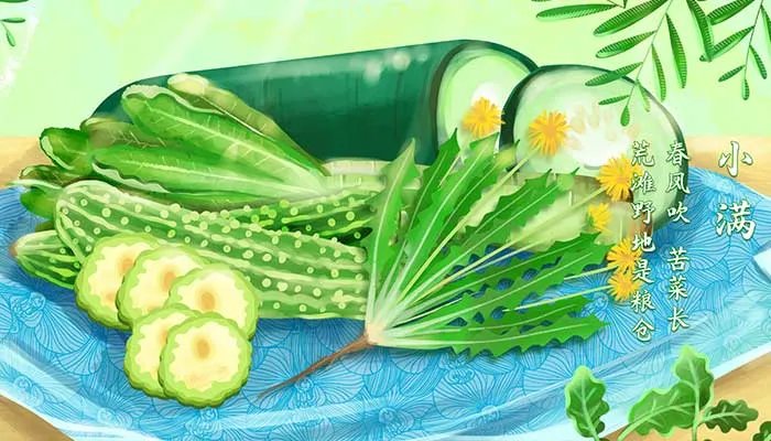 南方小满吃什么传统食物 南方小满食谱