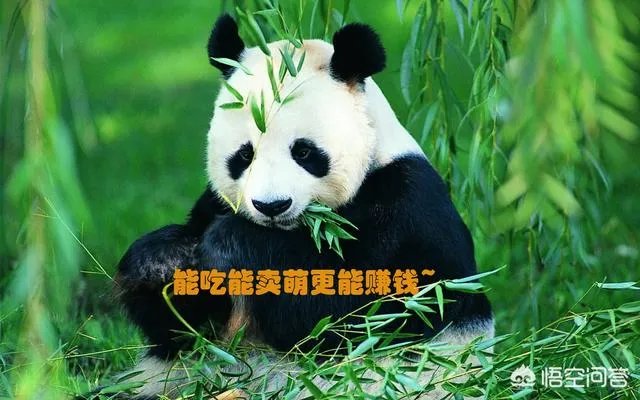 中国牛逼科技