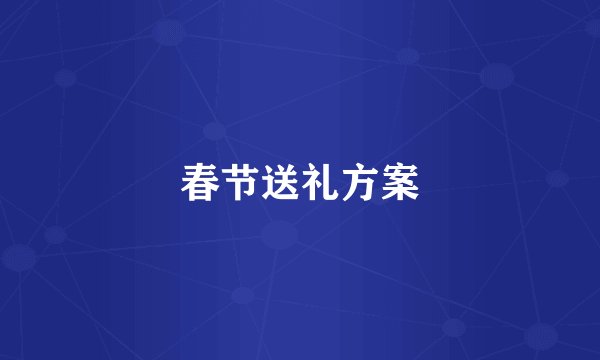 春节送礼方案