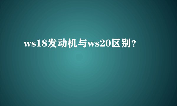 ws18发动机与ws20区别？