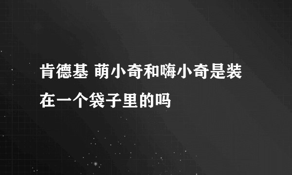 肯德基 萌小奇和嗨小奇是装在一个袋子里的吗