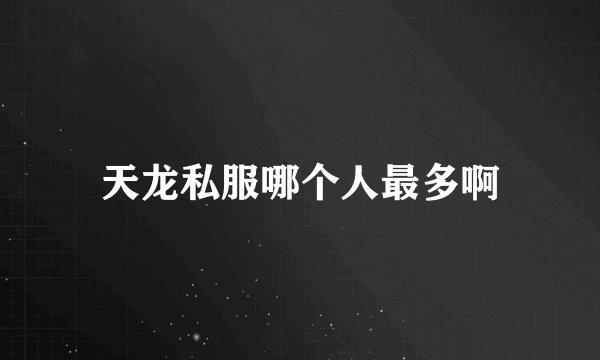 天龙私服哪个人最多啊