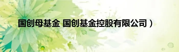 国创母基金 国创基金控股有限公司）