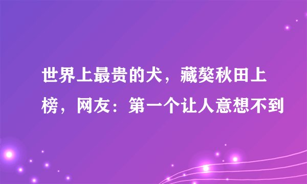 世界上最贵的犬，藏獒秋田上榜，网友：第一个让人意想不到