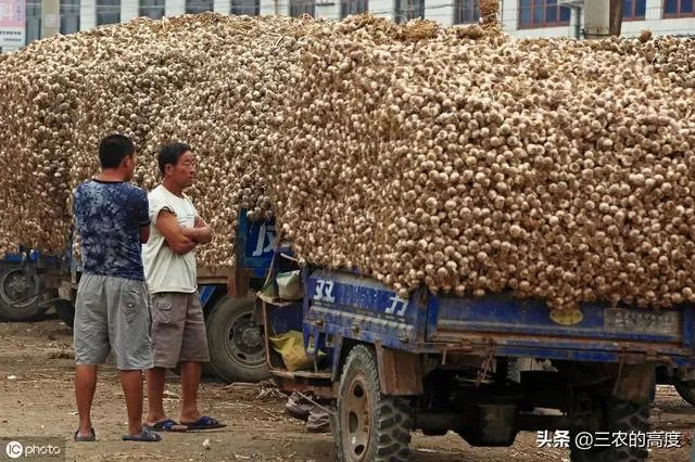 大蒜降价了