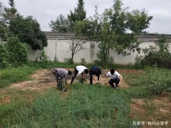 狂捐20亿,以高调做慈善示人的陈光标,如今为何跑去老家帮父母务农?
