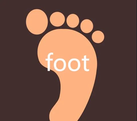 foot是什么意思