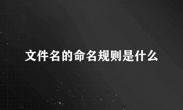 文件名的命名规则是什么