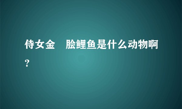 侍女金盤脍鲤鱼是什么动物啊？