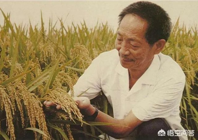 中国牛逼科技