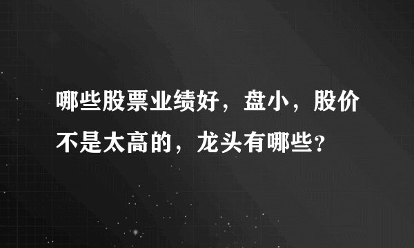 哪些股票业绩好，盘小，股价不是太高的，龙头有哪些？