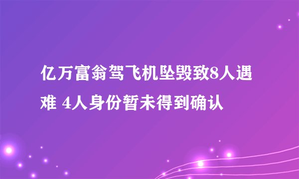 亿万富翁驾飞机坠毁致8人遇难 4人身份暂未得到确认