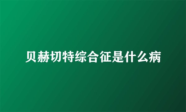 贝赫切特综合征是什么病