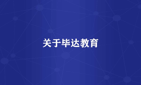 关于毕达教育
