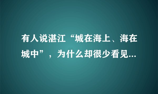 有人说湛江“城在海上、海在城中”,为什么却很少看见海鸥等海鸟呢?