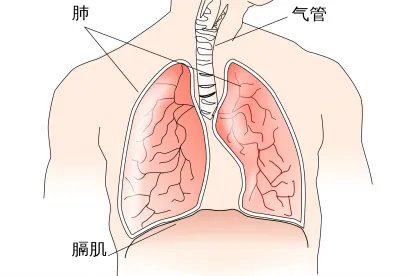 膈下位置图