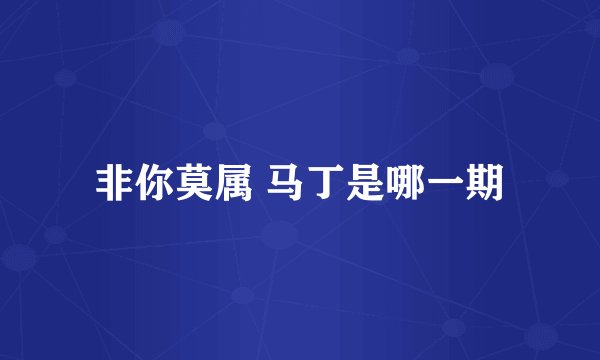 非你莫属 马丁是哪一期