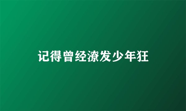 记得曾经潦发少年狂