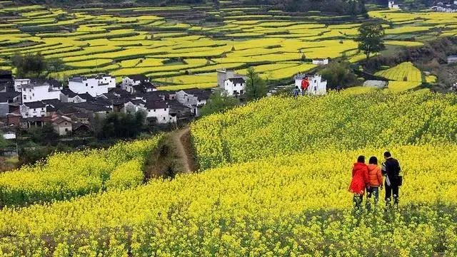 【节假通知】2016年放假安排新鲜出炉!快来看看吧