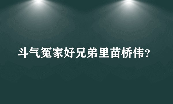 斗气冤家好兄弟里苗桥伟？