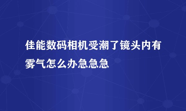 佳能数码相机受潮了镜头内有雾气怎么办急急急