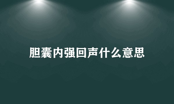 胆囊内强回声什么意思